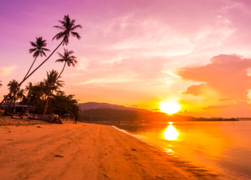 Sunset Boat Cruise In Goa