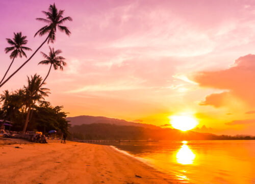 Best Scuba Diving in Goa: Your Ultimate Underwater Guide