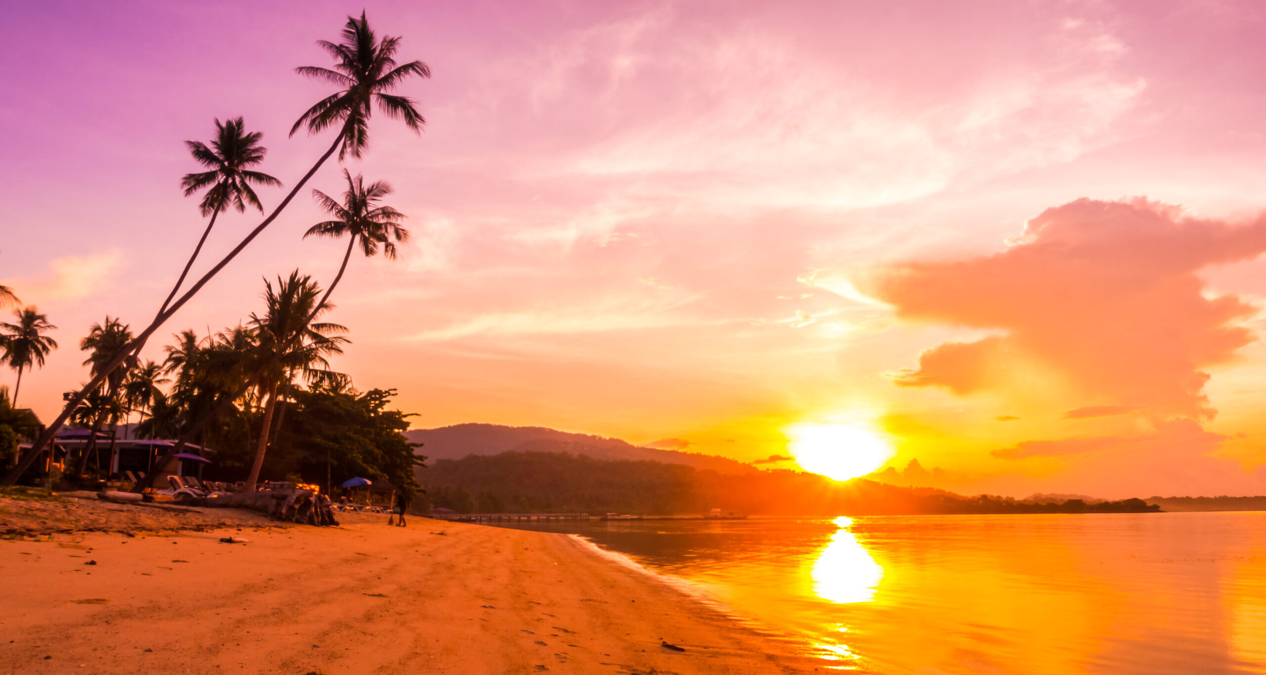 Best Scuba Diving in Goa