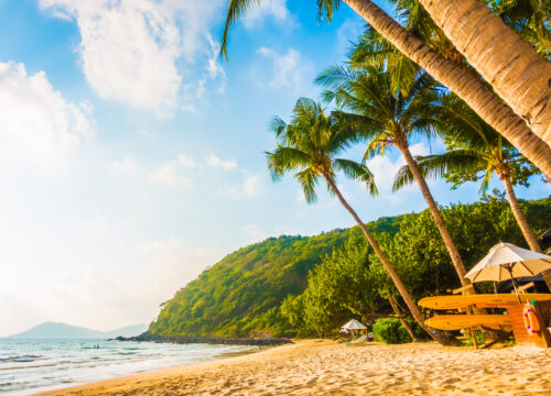 Why Goa Tour Planning Are the Best Tour Operators in Goa for Your Dream Holiday