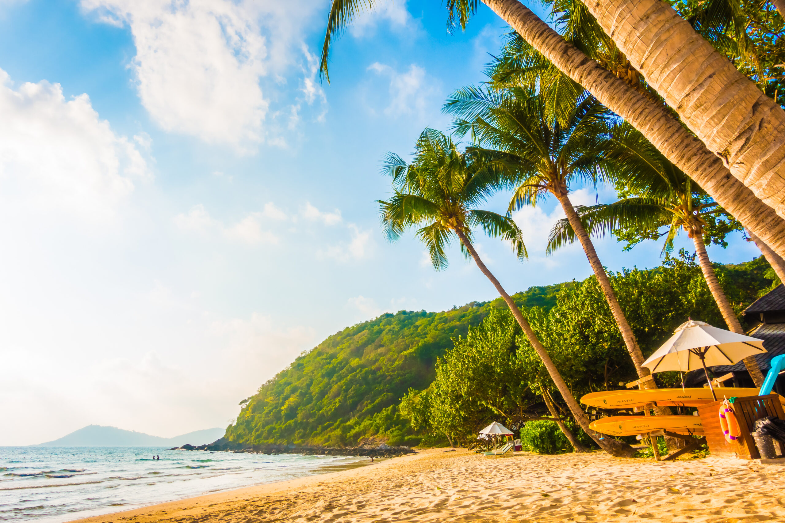 best tour operators in goa