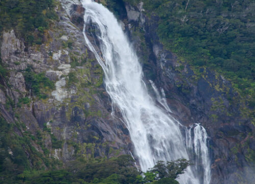 Dudhsagar Waterfall Trip Goa